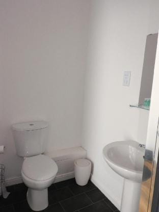 No 1 -  2 bedroom Apartment in Lanark Town Centre Vacation rental in Lanark