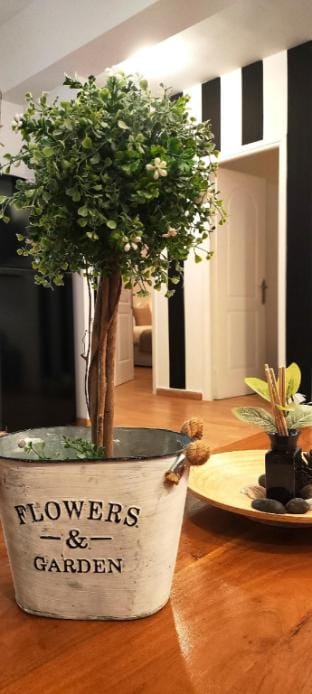 Allure Athens – Allure Suite 1 Vacation rental in Athens