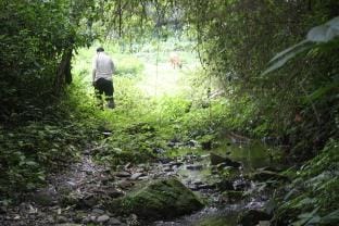 Kanteera Mud Huts Vacation rental in Shimla