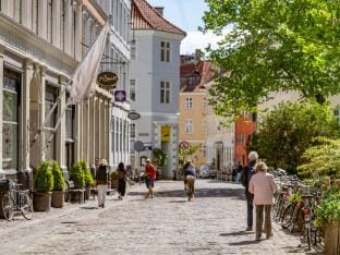 Sanders Regent Bright apartment in city center Apartment in Copenhagen