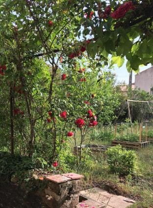 Le Mas du Figuier, Vacation home with garden Villa in Occitanie