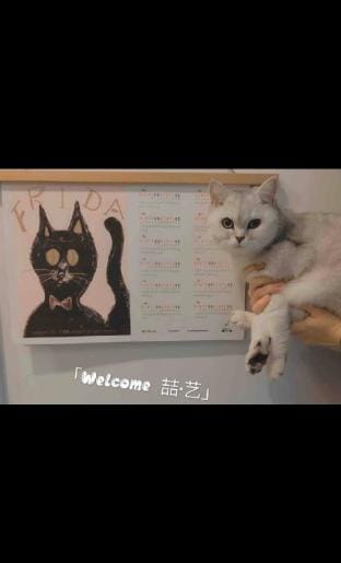 喆·艺 Home 文艺精品大床房 Vacation rental in Beijing