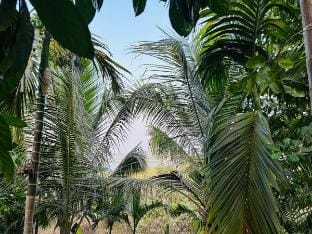 Raia - Unwind in Nature's Lap Vacation rental in Goa, India
