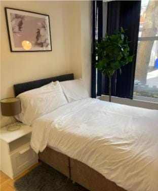 The Baravaggio by Nestura Vacation rental in Leicester