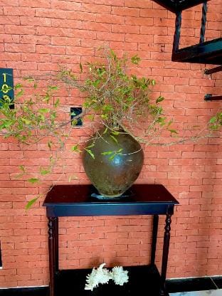 LV Homestay  Vacation rental in Nha Trang