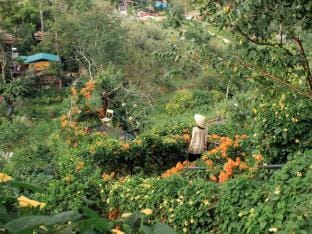 Cú Trên Cây Homestay Vacation rental in Dalat