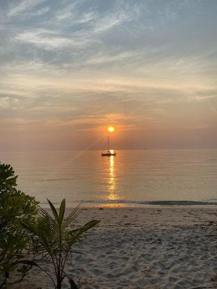 Beachfront Tiny House with FREE Kayak Vacation rental in Ko Samui