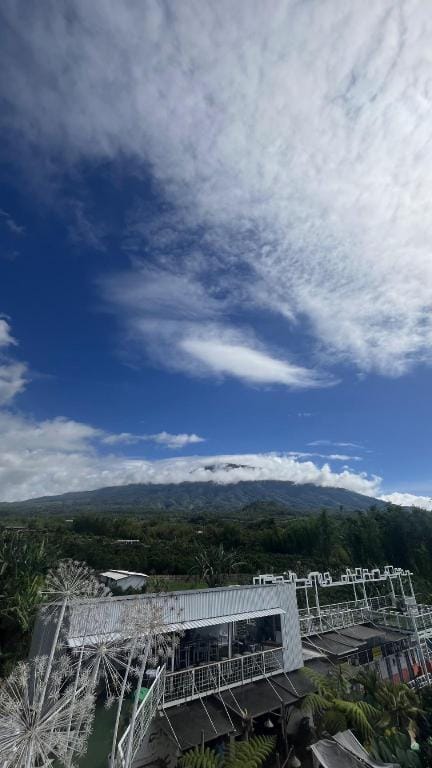 Dcottage Sabin Hotel in East Java