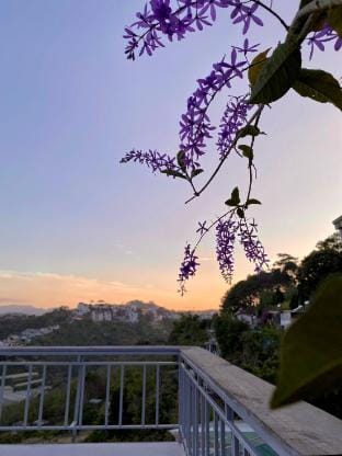 Thương Mình Homestay Vacation rental in Dalat