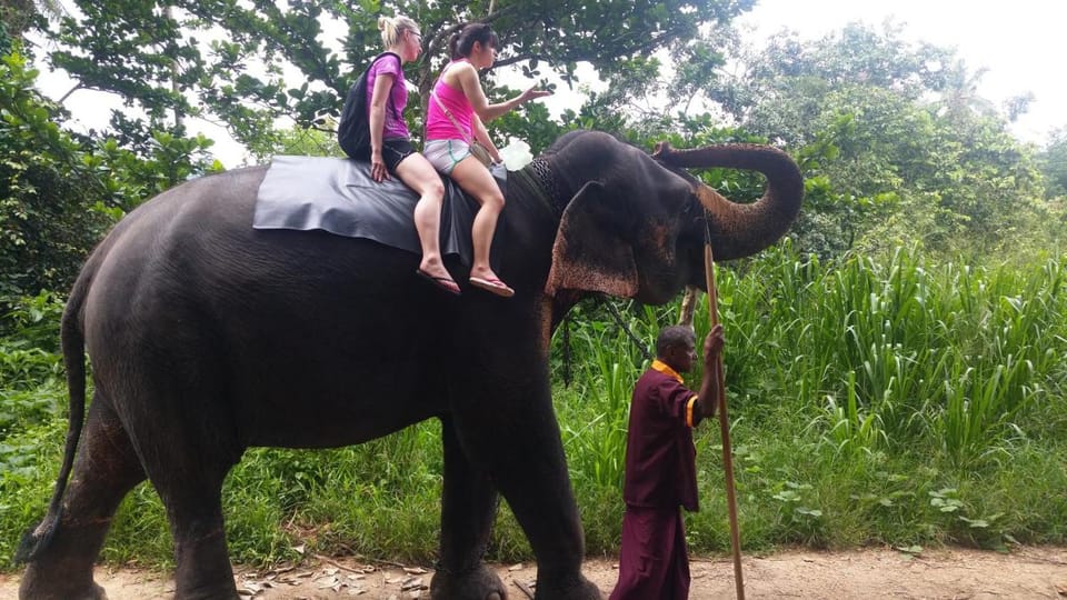 Jungle  Village Homestay  Vacation rental in Sri Lanka