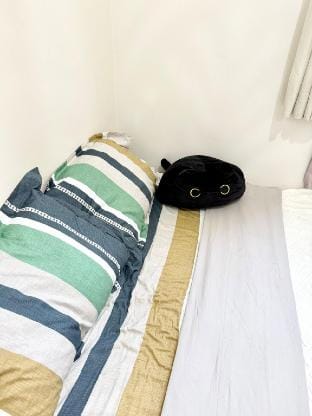 Maiko Happy Studio @ Near US Embassy Vacation rental in Manila City