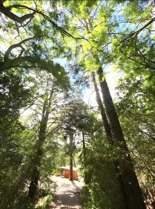 Tiny House Spectacular Eco Retreat & Cosy Vacation rental in Maleny