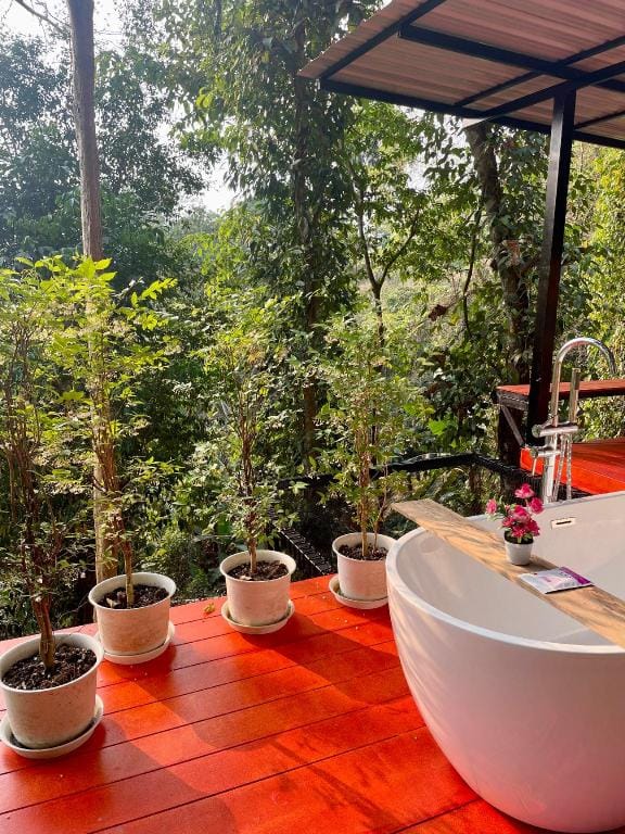 อิงฟ้า Luxury tent in Thailand