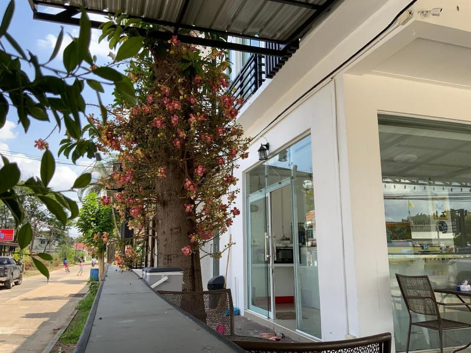 โรงแรมปภาดา - New Papada Hotel in Laos