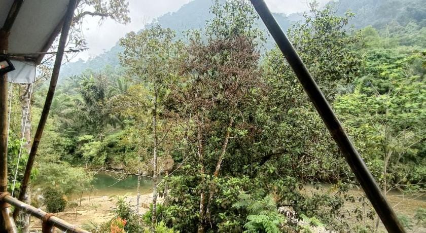 Escape Leuser Glamping & Jungle Expedition  Luxury tent in Indonesia