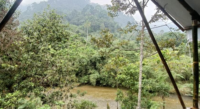 Escape Leuser Glamping & Jungle Expedition  Luxury tent in Indonesia