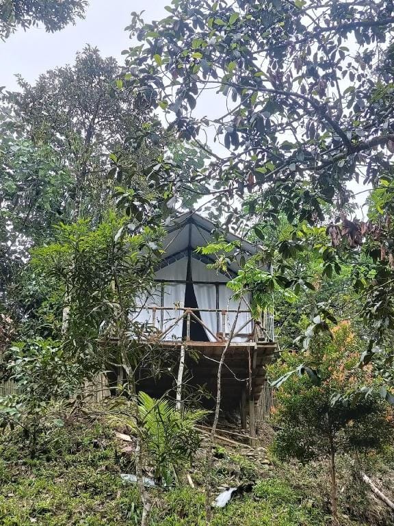 Escape Leuser Glamping & Jungle Expedition  Luxury tent in Indonesia