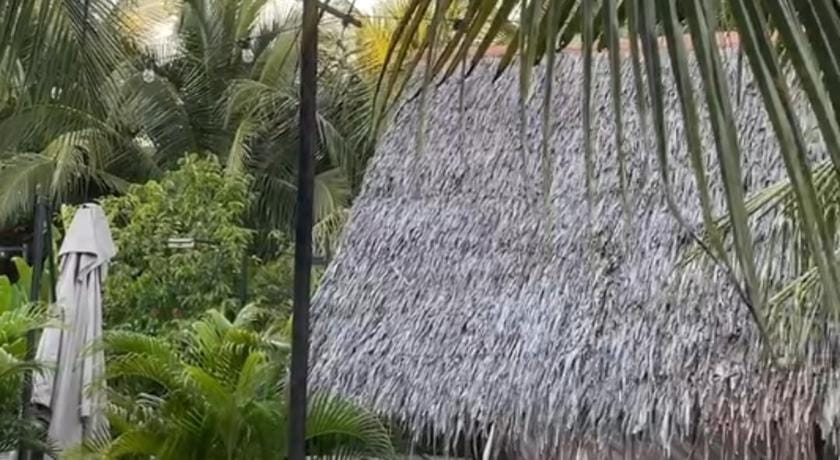TK Coconut Camping Luxury tent in Selangor, Malaysia