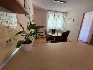 Apartment Palma Matulji Apartment in Primorje-Gorski Kotar County