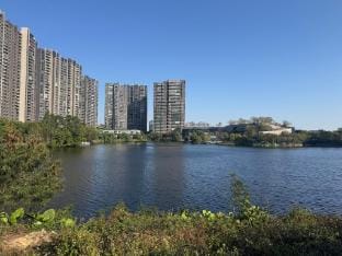 大湾区面朝大海房 Apartment in Guangzhou
