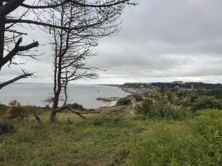Neptune's Cocoon Vacation rental in Normandy