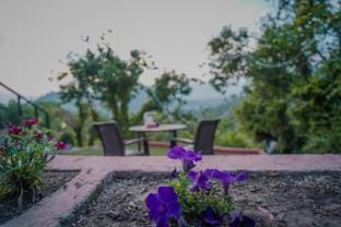 place to stay in saikhola Vacation rental in Uttarakhand