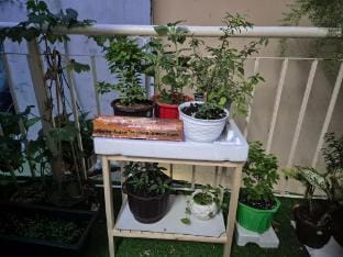 Mị homestay Vacation rental in Ho Chi Minh City