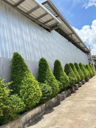 Cozy heven Vacation rental in Thailand