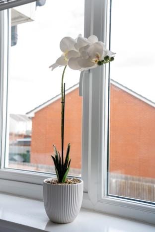 Bartonshill House Vacation rental in Glasgow