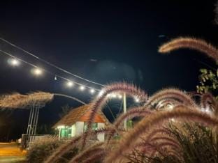 Teluk Intan Farmstays Farm Stay in Perak Tengah District