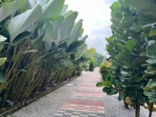 Hobbit house by Intan Villa Farmstay @Teluk Intan Vacation rental in Perak Tengah District