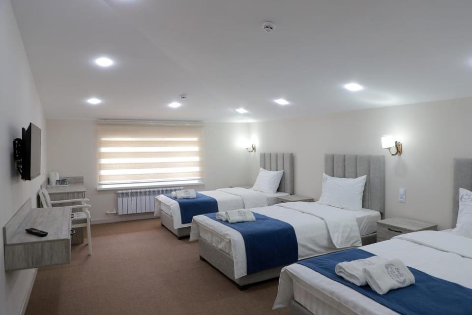 Emily Grand Palace Hotel in Europe