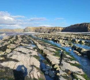 Ewe-retreat at Roobies Farm Vacation rental in Sedgemoor