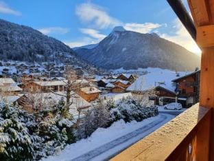 Chalet Delphinette Spa Privatif Morzine Chalet in Les Gets