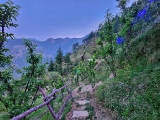 Mountain A Frame Stay Sainj Farm Stay in Himachal Pradesh