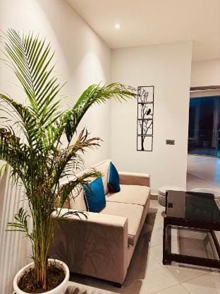 2bhk Supernova  Apartment in Noida