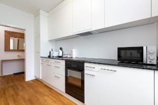 Apt 1A - City Centre: Charming & New 2-BR Apt Vacation rental in Zurich City
