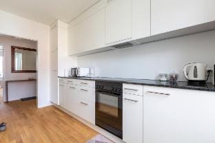 Apt 3A: Central Location: Spacious 2-BR Apartment Vacation rental in Zurich City