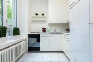 City Centre Spacious Studio Apartment E28 Gold Vacation rental in Zurich City
