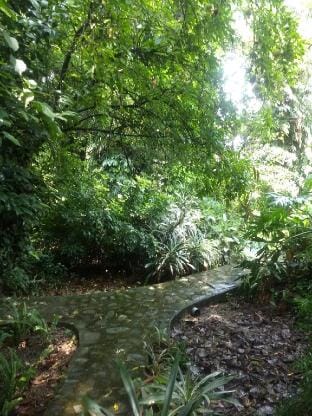 The Jungle Bungalow
# La Bellesa Vacation rental in Punjab, India