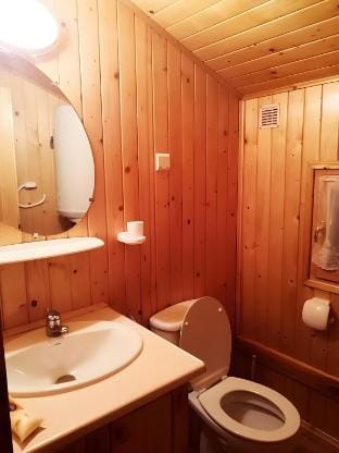 Chalet "Gaby" aux portes du Parc des Ecrins Vacation rental in Provence-Alpes-Côte d'Azur
