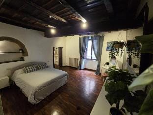 "Vicolo del Borgo" Vacation rental in Viterbo