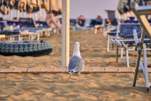 Charming Seaside Stay in Bibione Apartment in Bibione