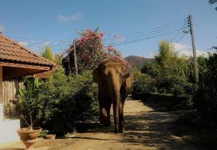 Room Vacation rental in Thailand