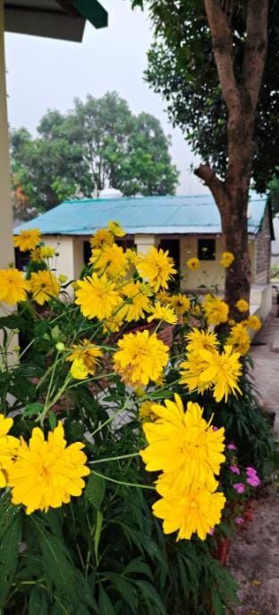 Winterline homestay  Vacation rental in Uttarakhand