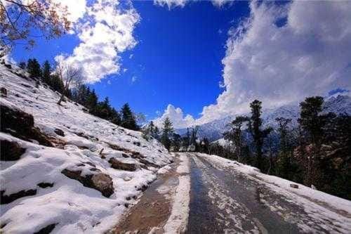 Kanatal vatika and home stay  Vacation rental in Uttarakhand