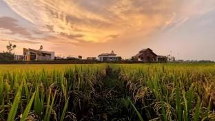 Homestay Nhà Ruộng Vacation rental in Vietnam
