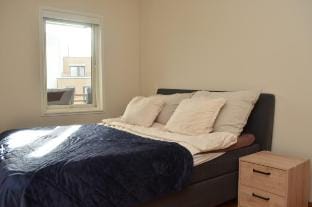 PP1C-Central-Spacious,balcony, family/kids, garage Vacation rental in Oslo
