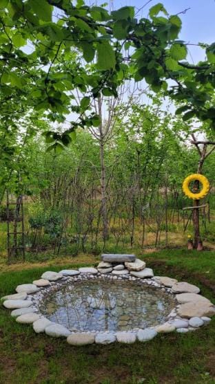 Akçakoca Vineyard House Private Garden in Nature Vacation rental in Turkey