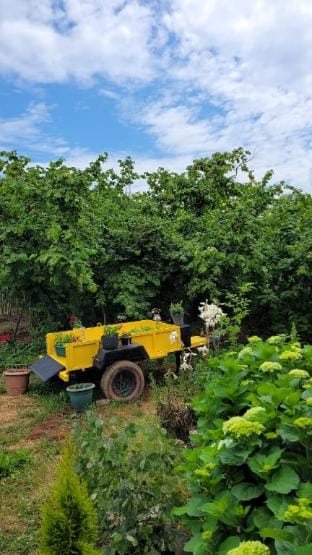 Akçakoca Vineyard House Private Garden in Nature Vacation rental in Turkey